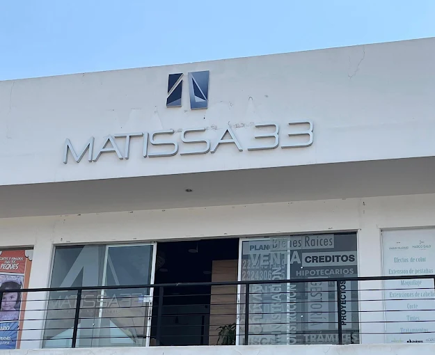 Matissa 33 inmobiliaria 